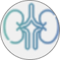 Renal Failure Icon